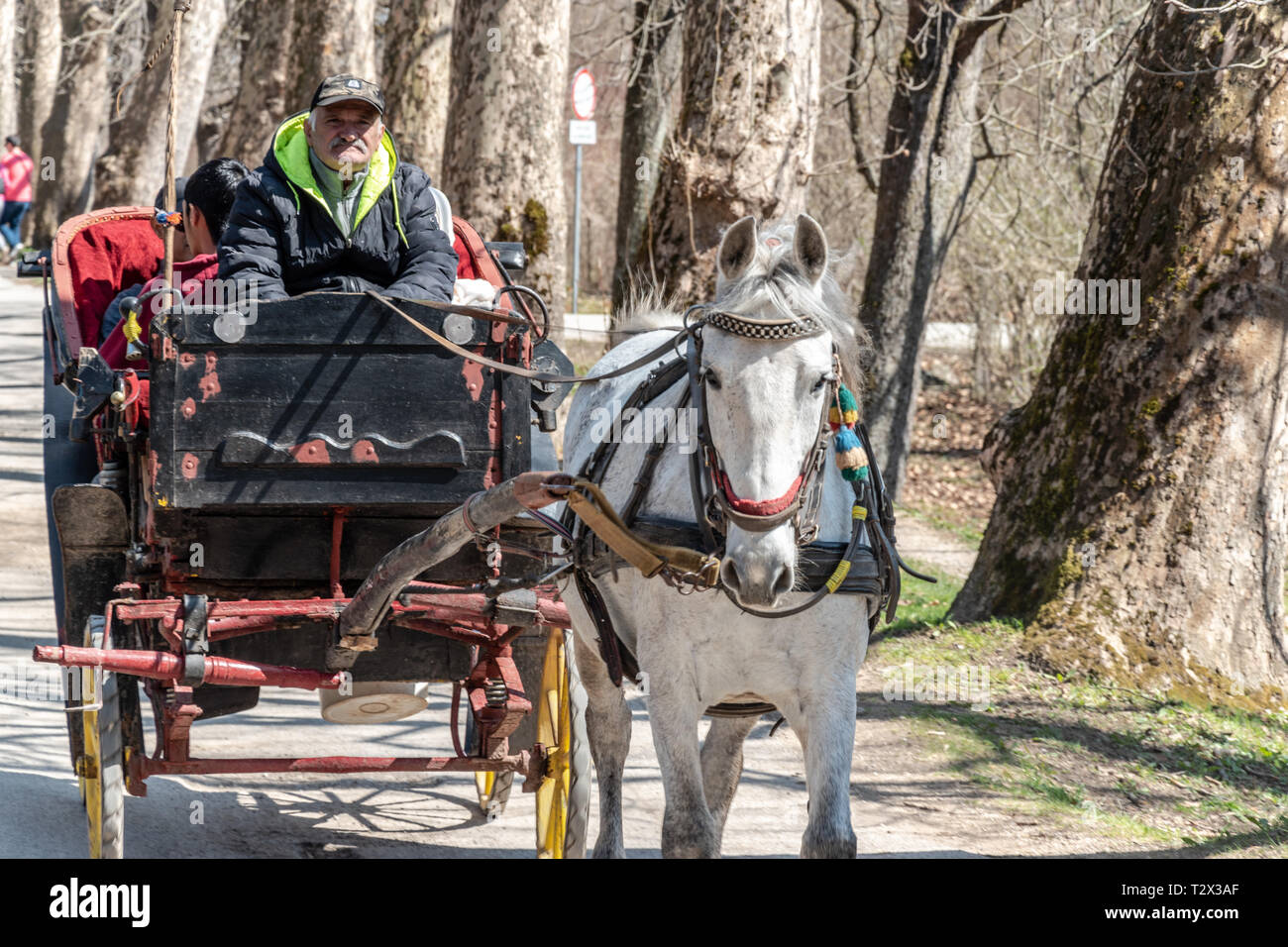 Horse carriage Stock Photo