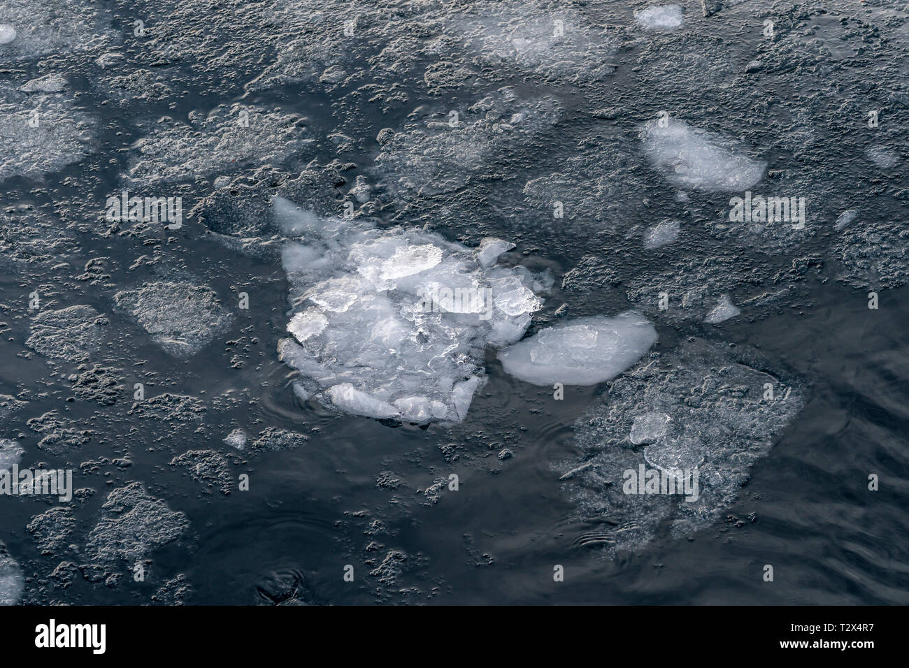Ice, Scoresbysund, Greenland Stock Photo
