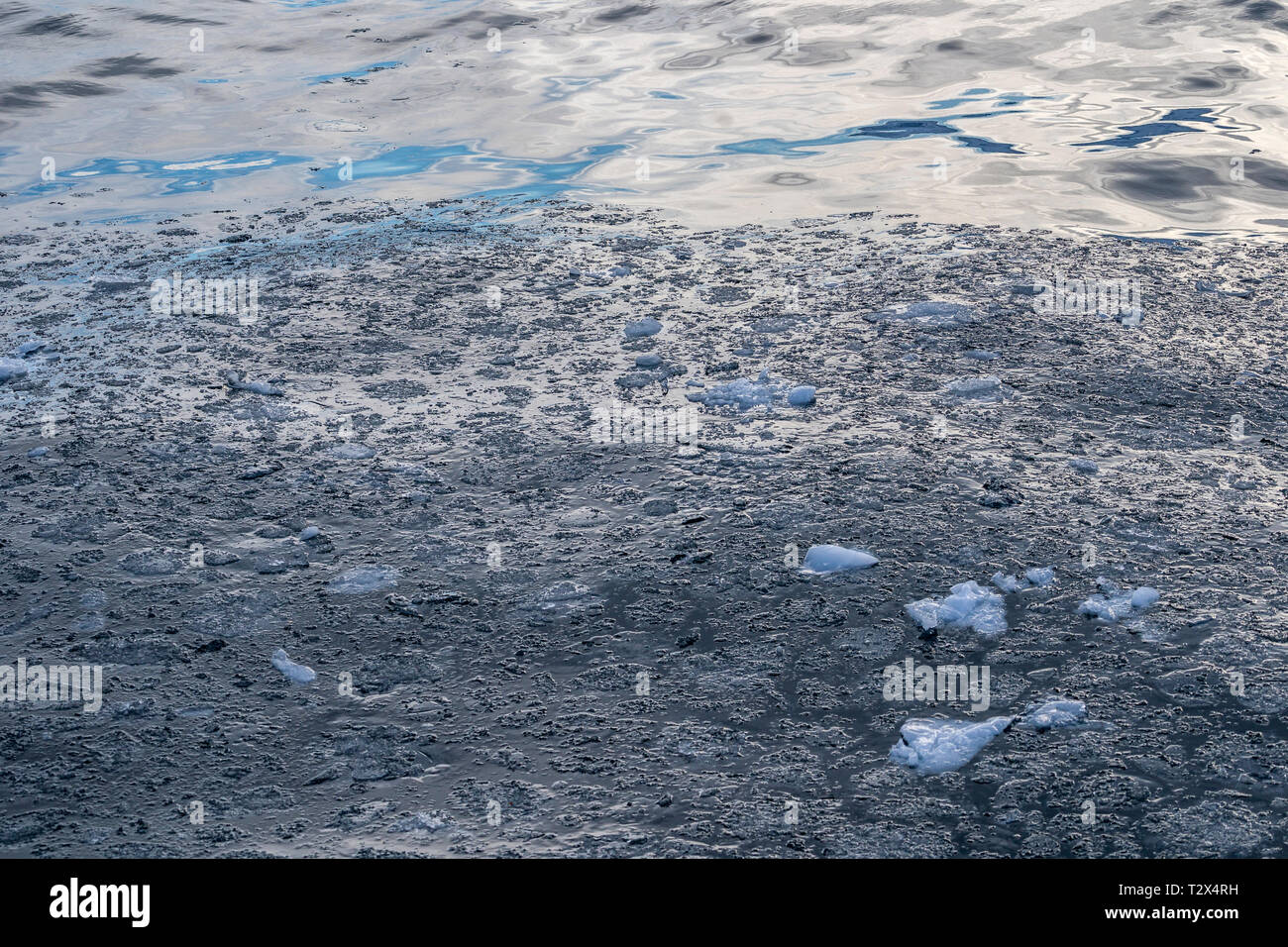Ice, Scoresbysund, Greenland Stock Photo - Alamy