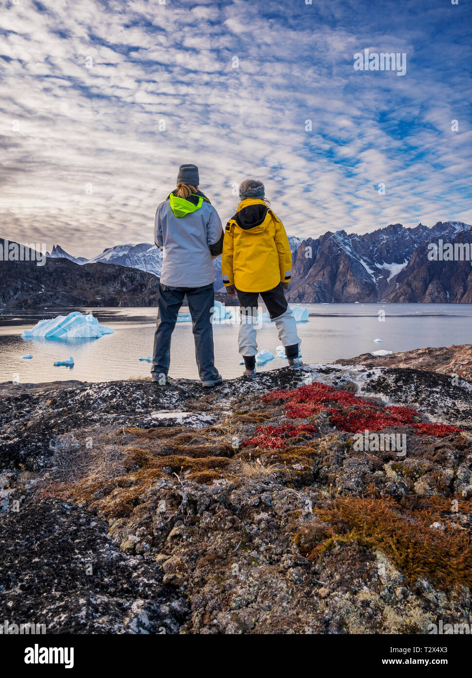 Tourist enjoying the view, Scoresbysund, Greenland Stock Photo