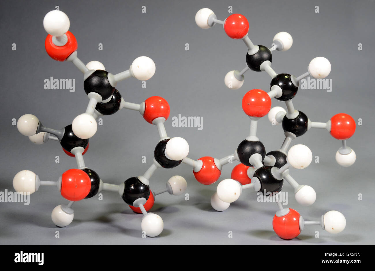 Molecule model of sugar (C12H22O11). Red is oxygen, black is carbon, and white is hydrogen. Stock Photo