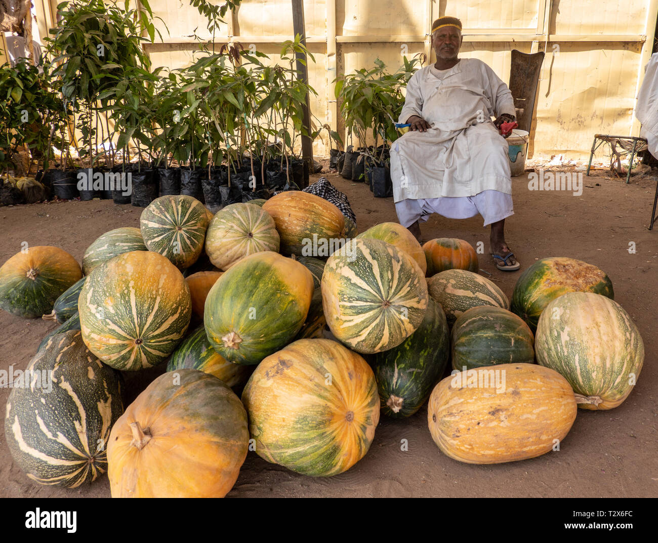 Nuri, Sudan, February 9., 2019: A pumpkin seller in a white caftan sits on a chair in front of his pumpkins at the market Stock Photo