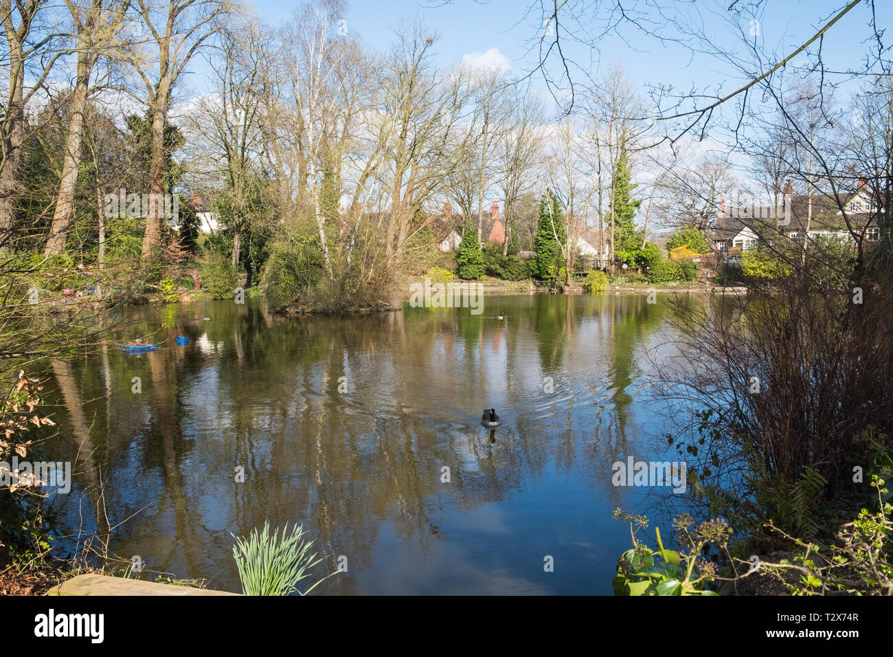 The fishing pool on the Moor Pool Estate in Harborne, Birmingham Stock
