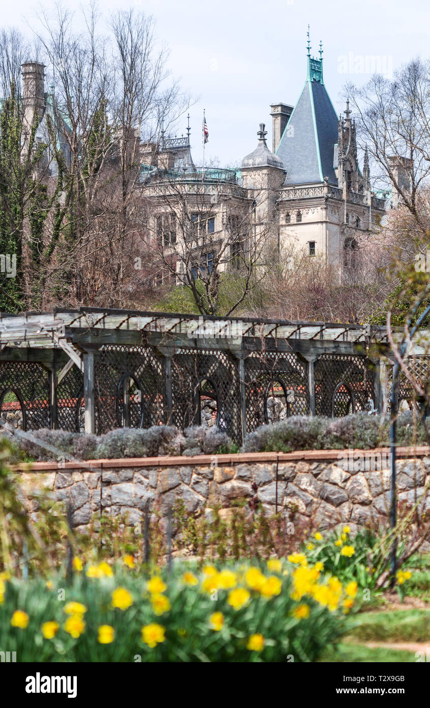 A view from the Walled Garden reveals blooming daffodils, the grape arbor, and the Biltmore House looming in the background Stock Photo