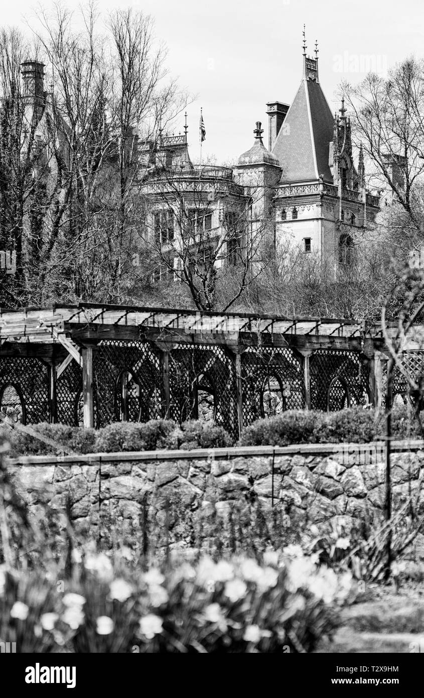 A view from the Walled Garden reveals blooming daffodils, the grape arbor, and the Biltmore House looming in the background Stock Photo