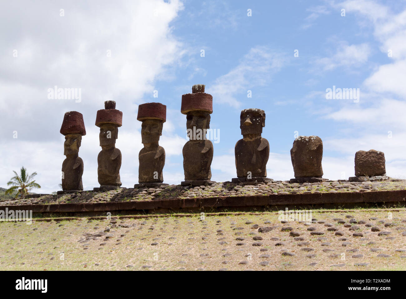 Moais -Ahu Nau Nau (Anakena) - Easter Island Stock Photo