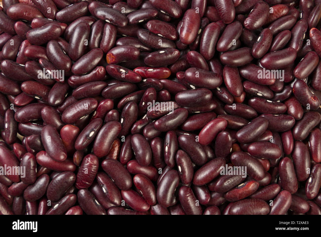 red kidney bean texture background. nutrition. food ingredient Stock