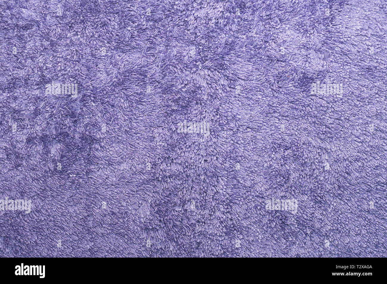 purple carpet