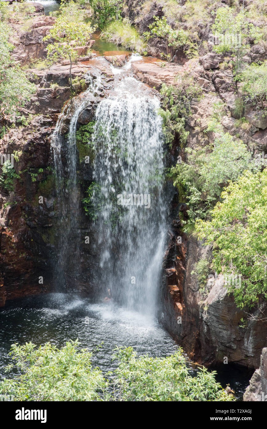 Stunning Florence Falls with cascading plunge segmented waterfalls at ...