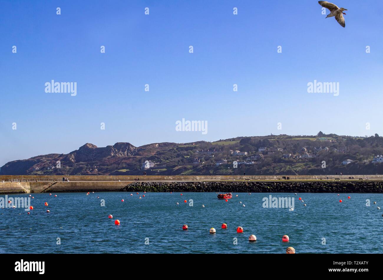 Howth Harbour in Dublin, Ireland looking on to the east pier and Howth Head. Stock Photo