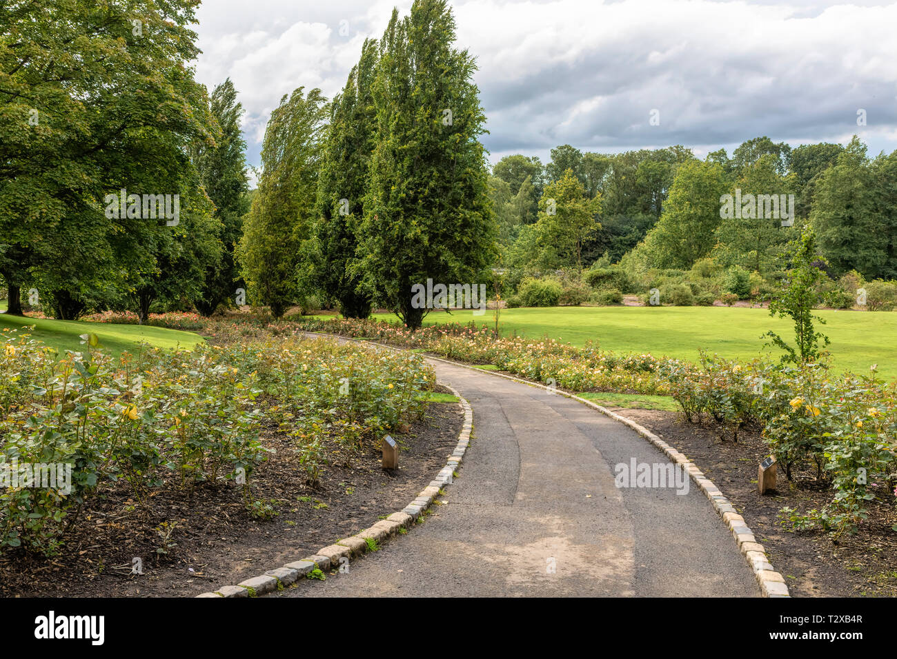 A view of the Lord and Lady Dixon park in Belfast. This park hosts the annual rose week festival every July Stock Photo