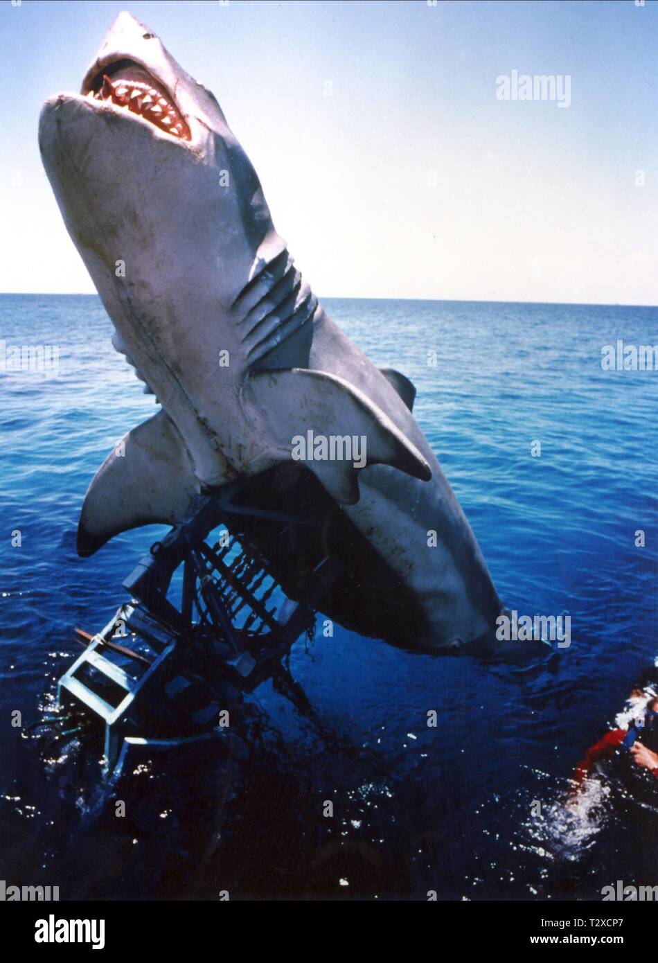 Jaws shark model hi-res stock photography and images - Alamy