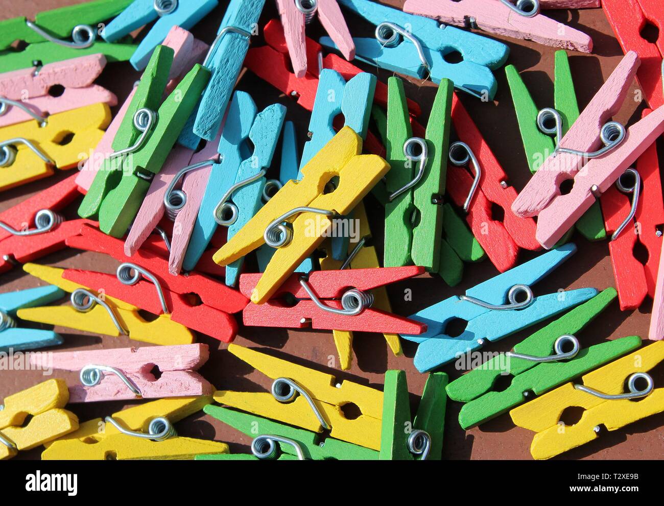 Clothespin Penis