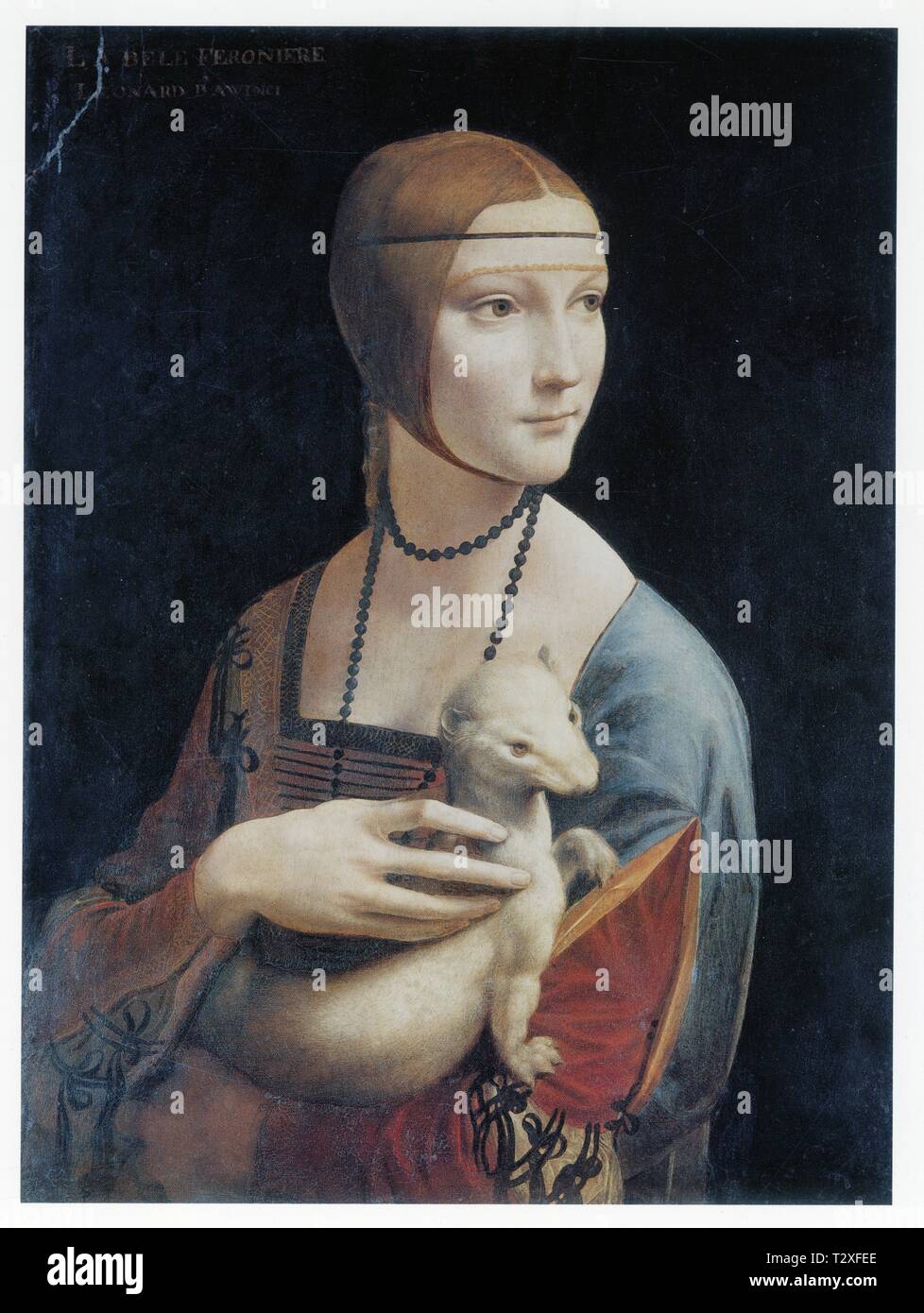 LEONARDO DA VINCI. PORTRAIT OF CECILIA GALLERANI ( LADY WITH AN ERMINE ). 1490. OIL ON WOOD. 54.8 CM X 40.3 CM Stock Photo