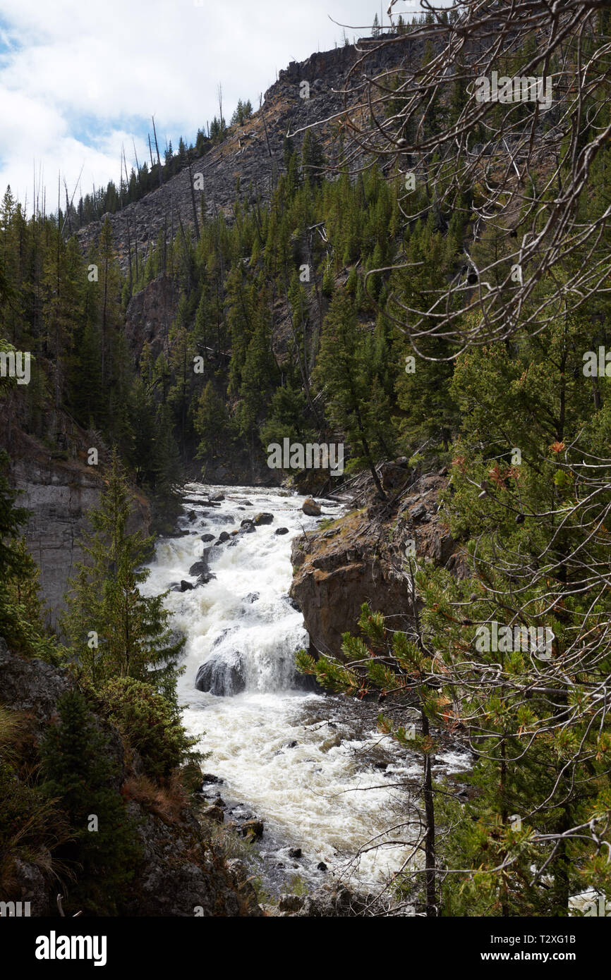 Firehole river in Yellowstone National Park Stock Photo