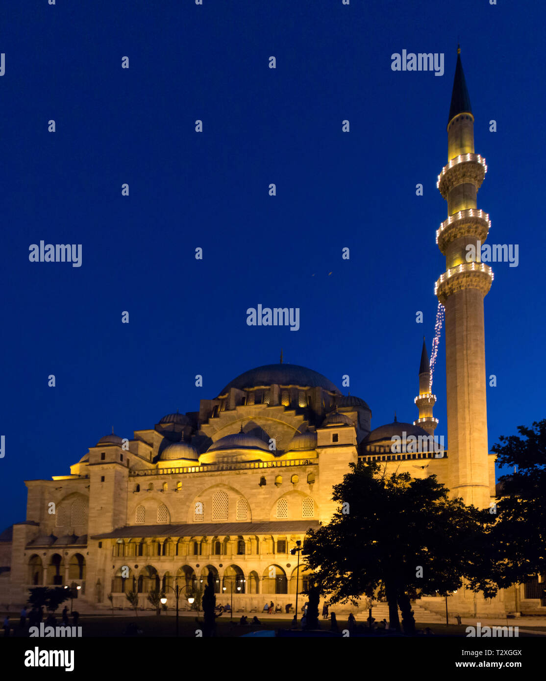 Mosque in Istanbul at night, blue background, Turkey Stock Photo - Alamy