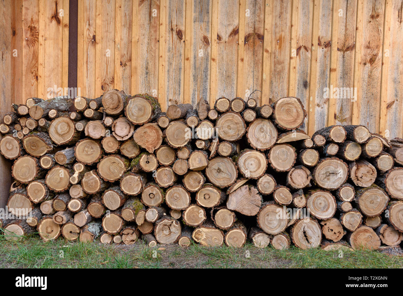 Woodpile - stack of wood. Firewood, sawn trees Stock Photo