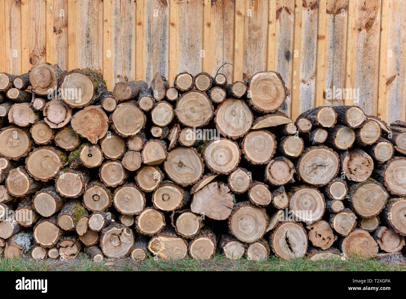 Sawed wood folded in the woodpile. Cross section of the tree Stock Photo