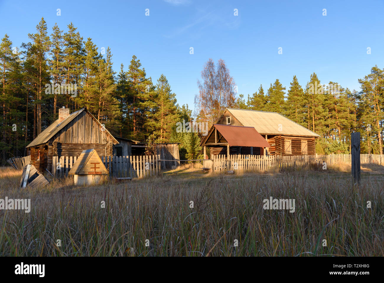 Country wooden house on a clearing in the forest Stock Photo