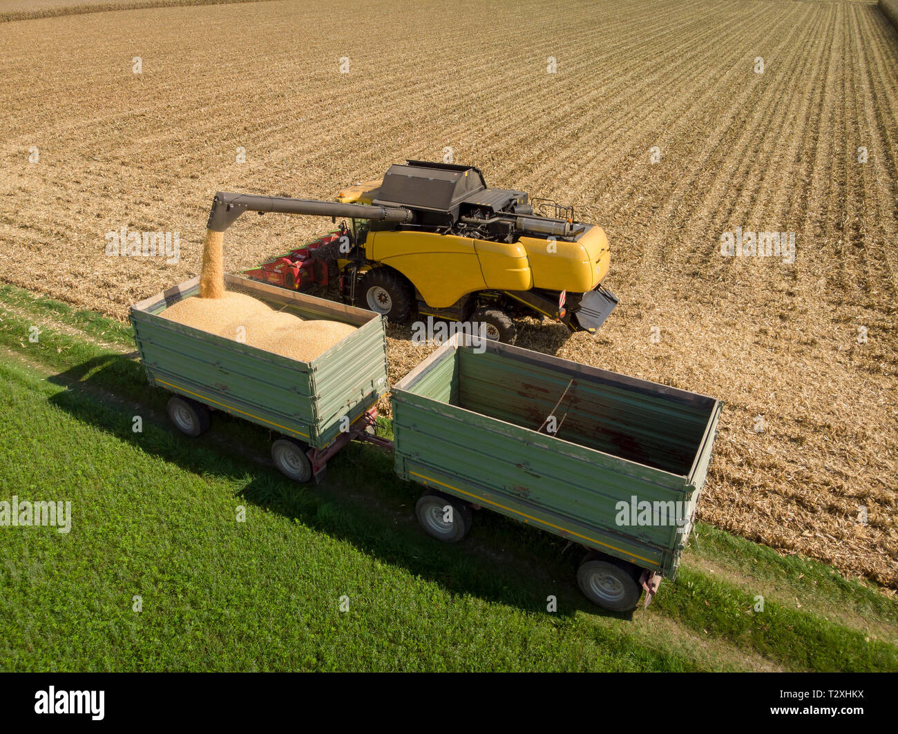 Corn Harvester unloading corn on trailer for transportation -Aerial Stock Photo