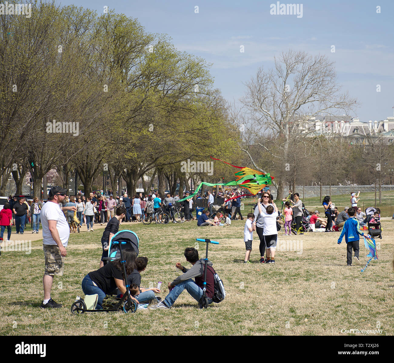 Kite flying festival on National Mall in Washington DC Stock Photo Alamy
