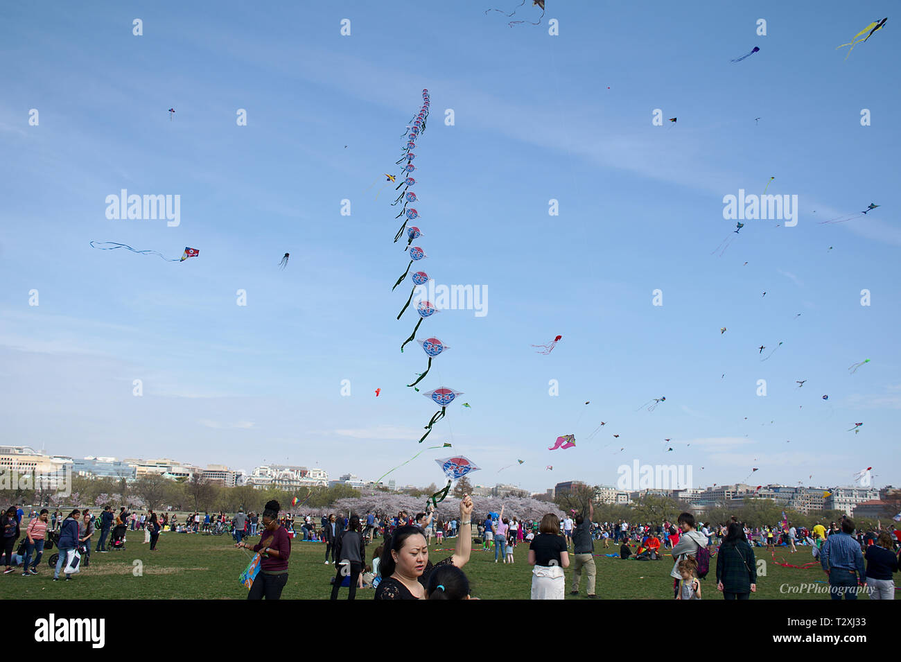 Kite flying festival on National Mall in Washington DC Stock Photo Alamy