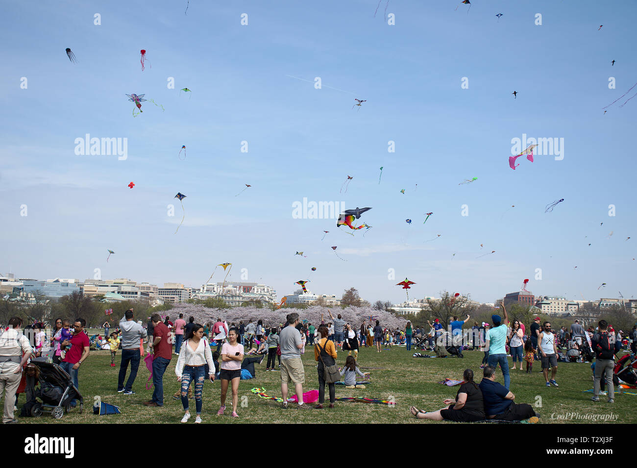 Kite flying festival on National Mall in Washington DC Stock Photo Alamy