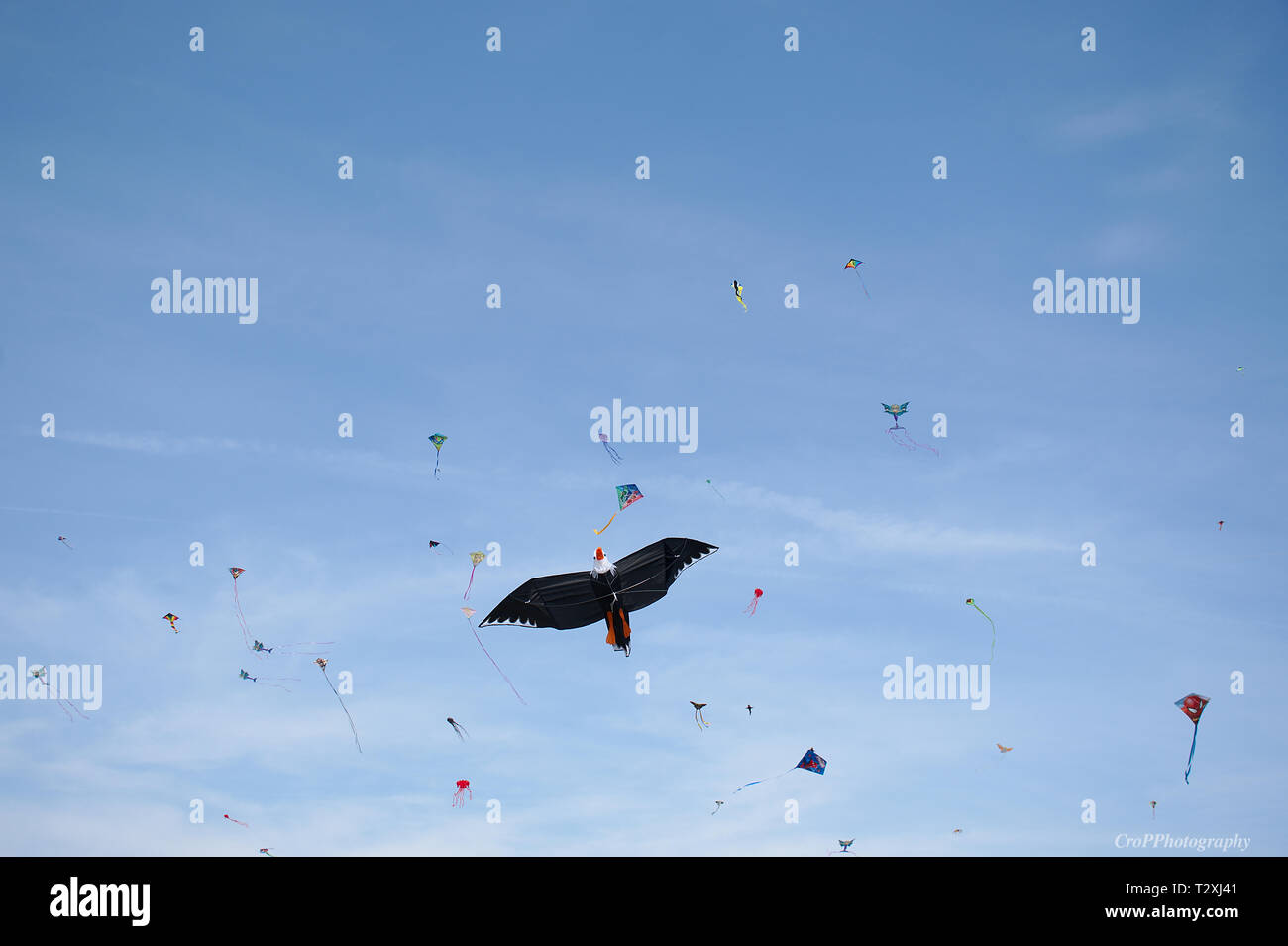 Closeup of a Eagle kite with others in background Stock Photo