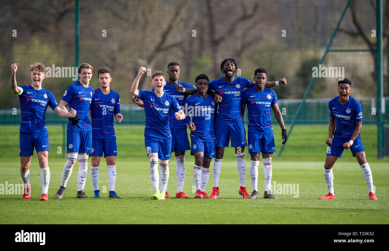 chelsea dinamo