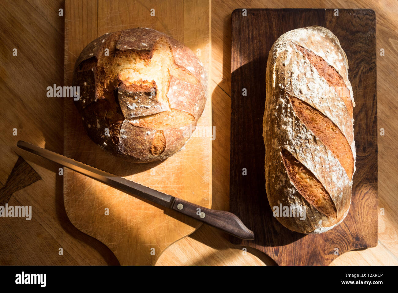2 loaves of homemade sourdough bread on cutting boards with a bread knife. Stock Photo