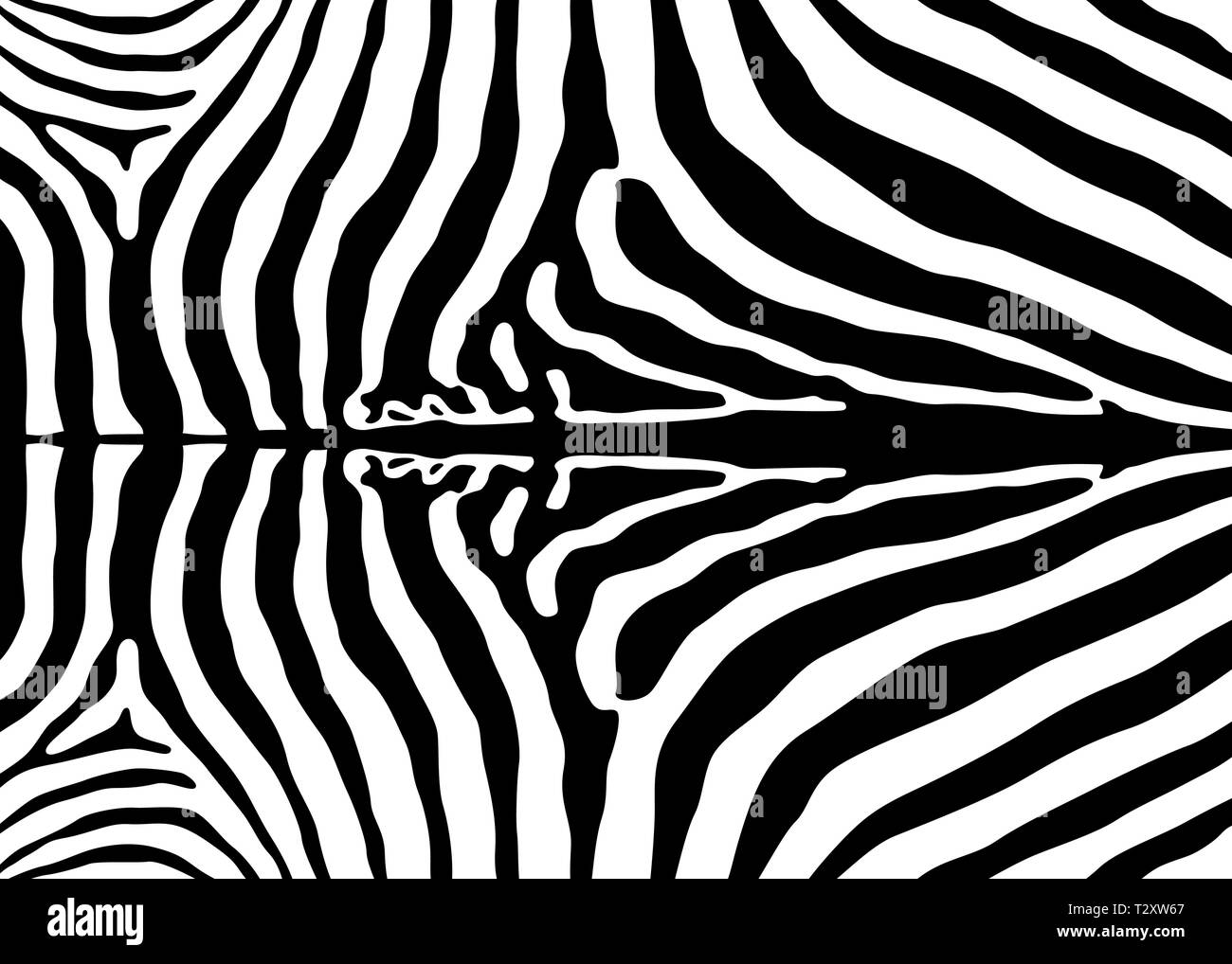 Zebra pattern design. Zebra print vector illustration background ...