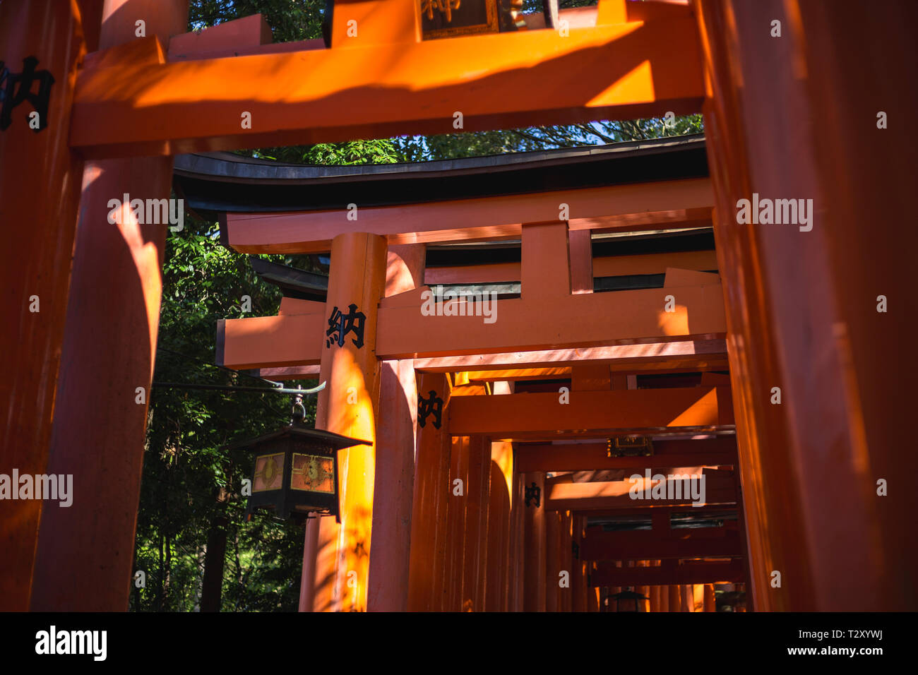 Torii gates at Fushimi Inari shrine in kyoto, japan Stock Photo Alamy