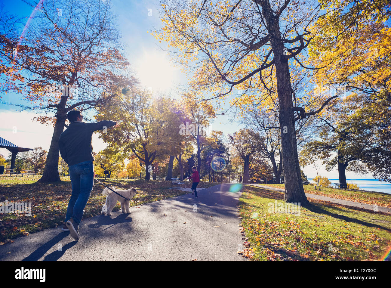 Man walking dog throwing football to boy in a park on autumn day. Stock Photo