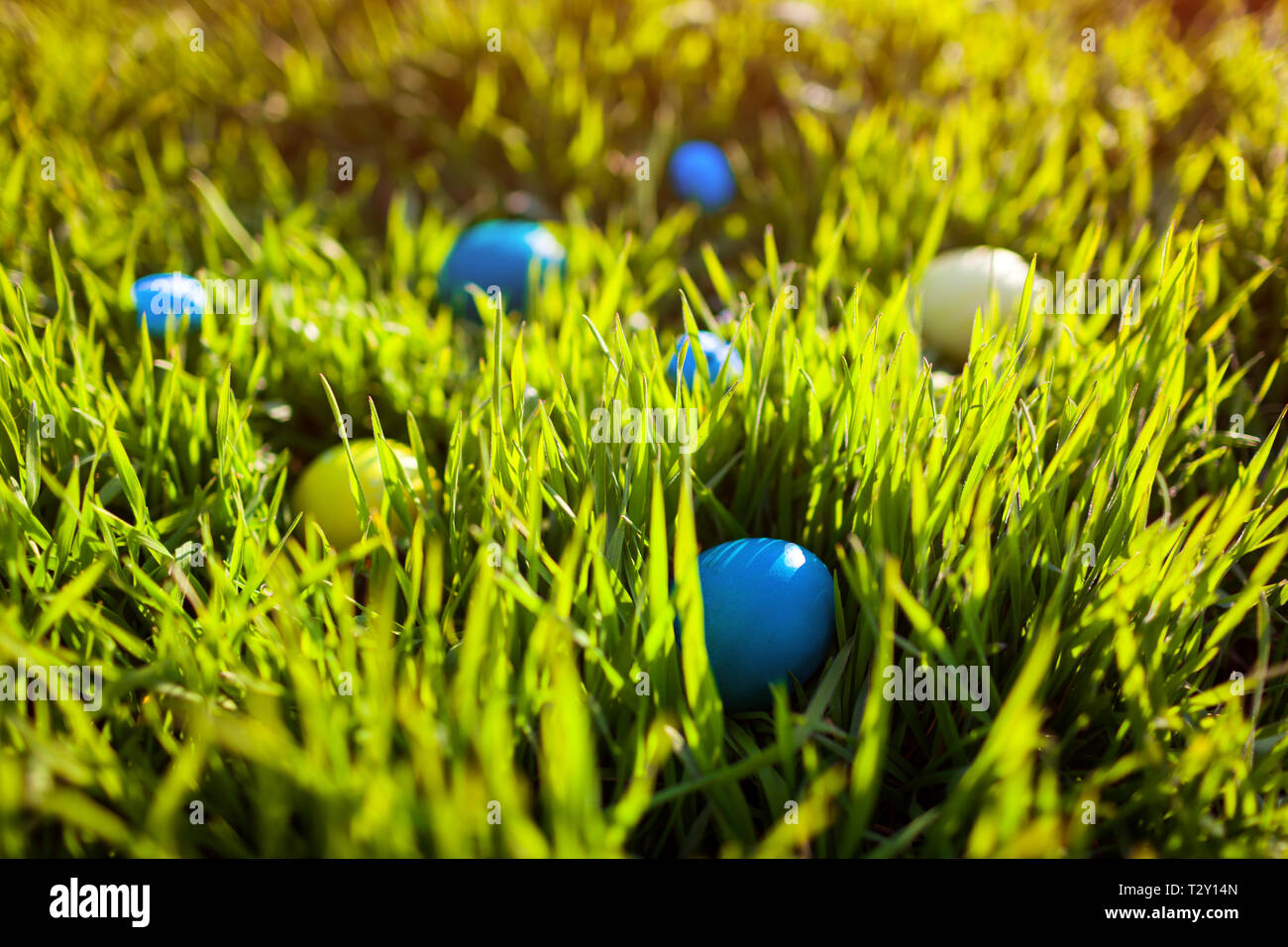 Happy Easter. Easter eggs hidden in spring grass. Holiday decoration Stock Photo