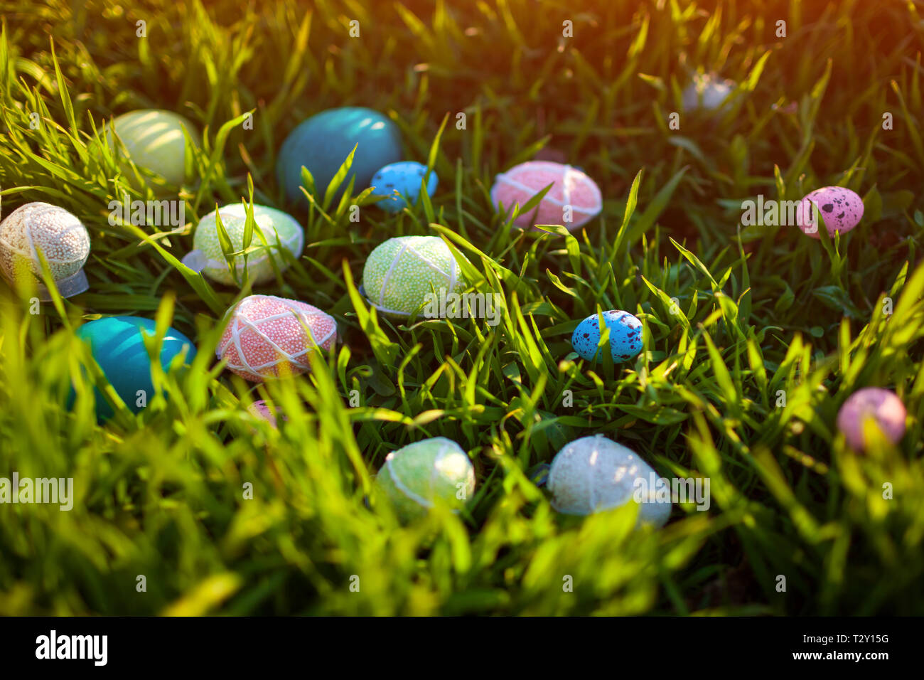 Happy Easter. Easter eggs hidden in spring grass. Holiday decoration Stock Photo