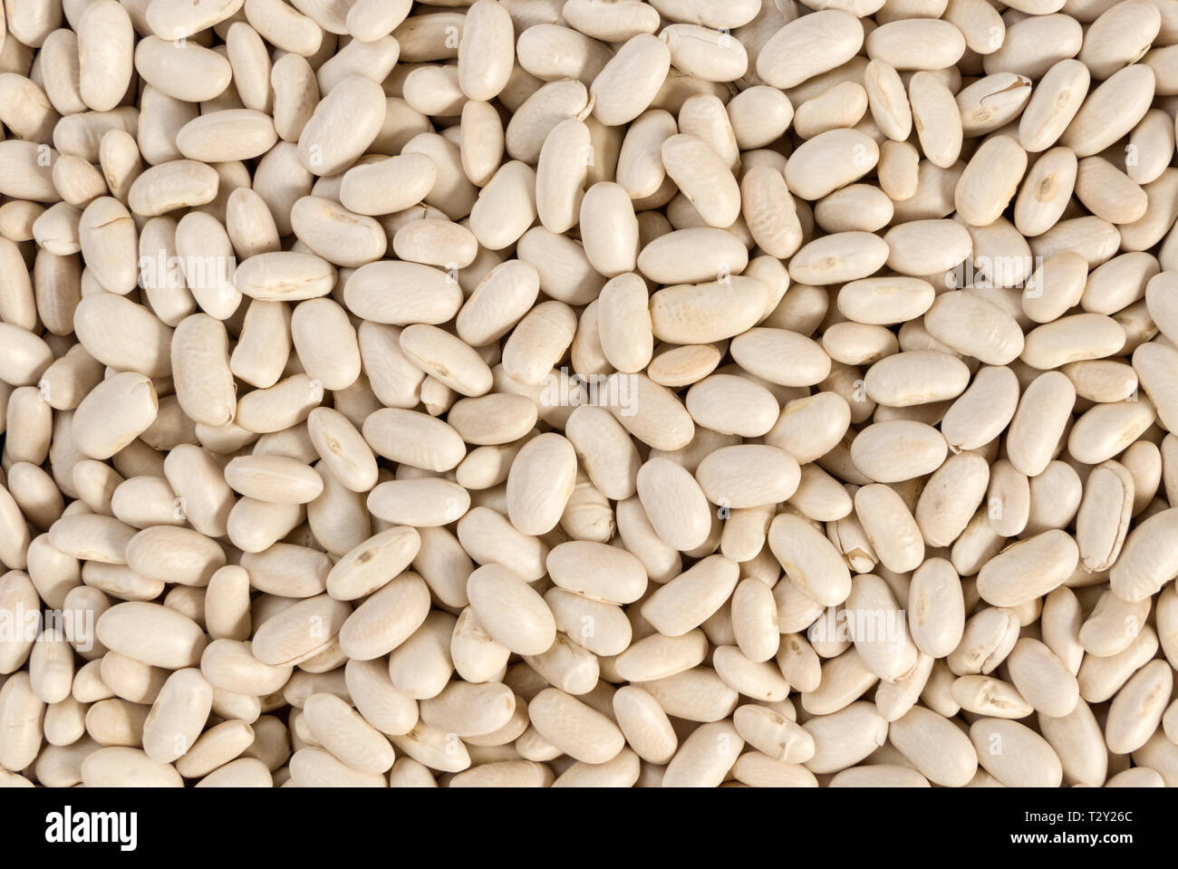 White Kidney Beans Nutrition Runners High Nutrition
