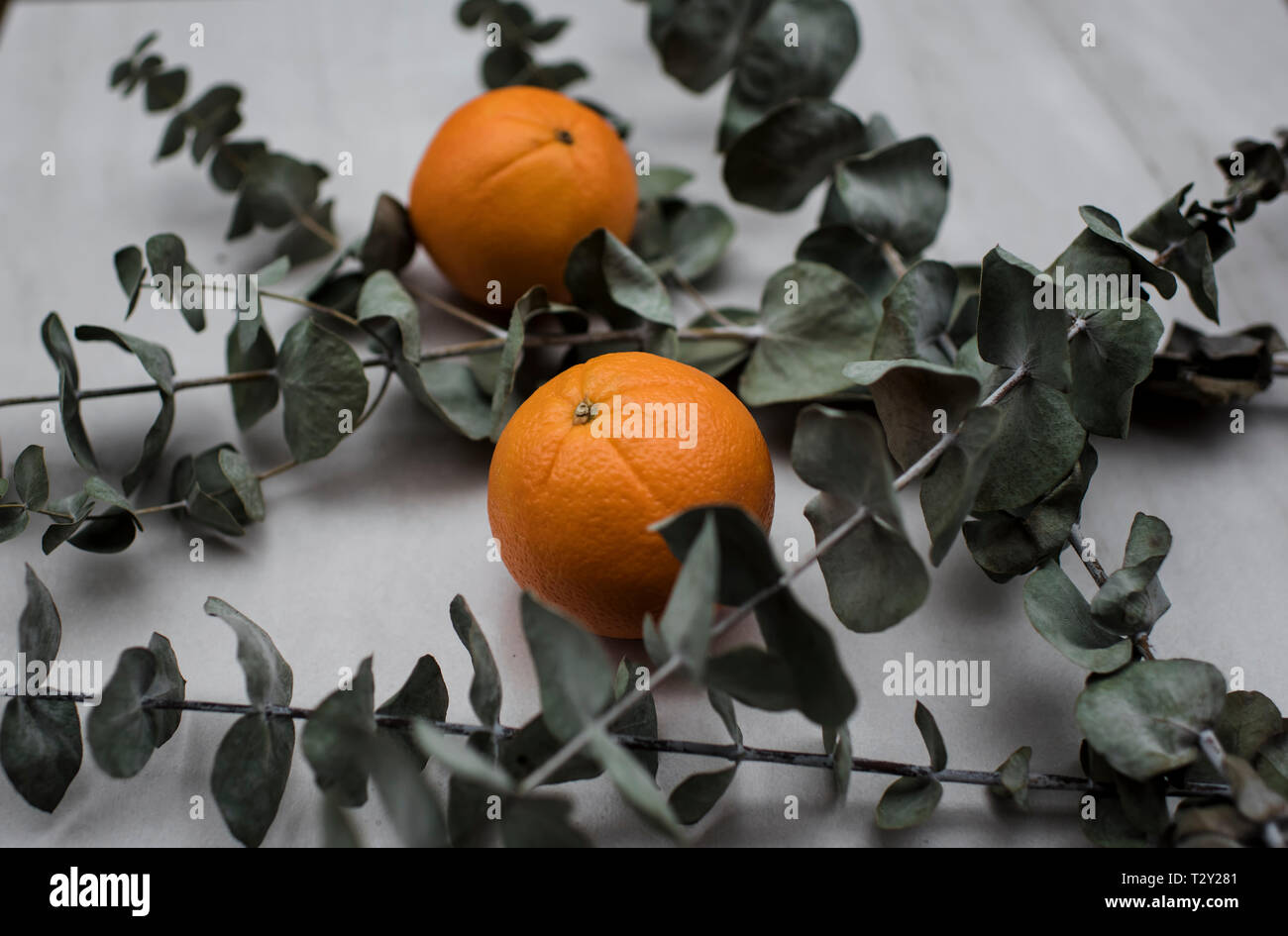 Oranges and eucalyptus on a table Stock Photo