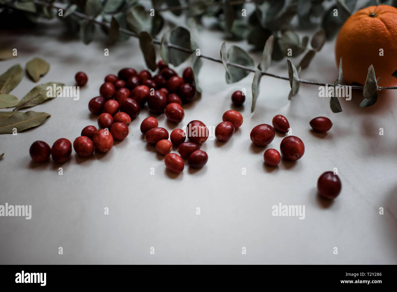 Oranges, cranberries and eucalyptus on a table Stock Photo