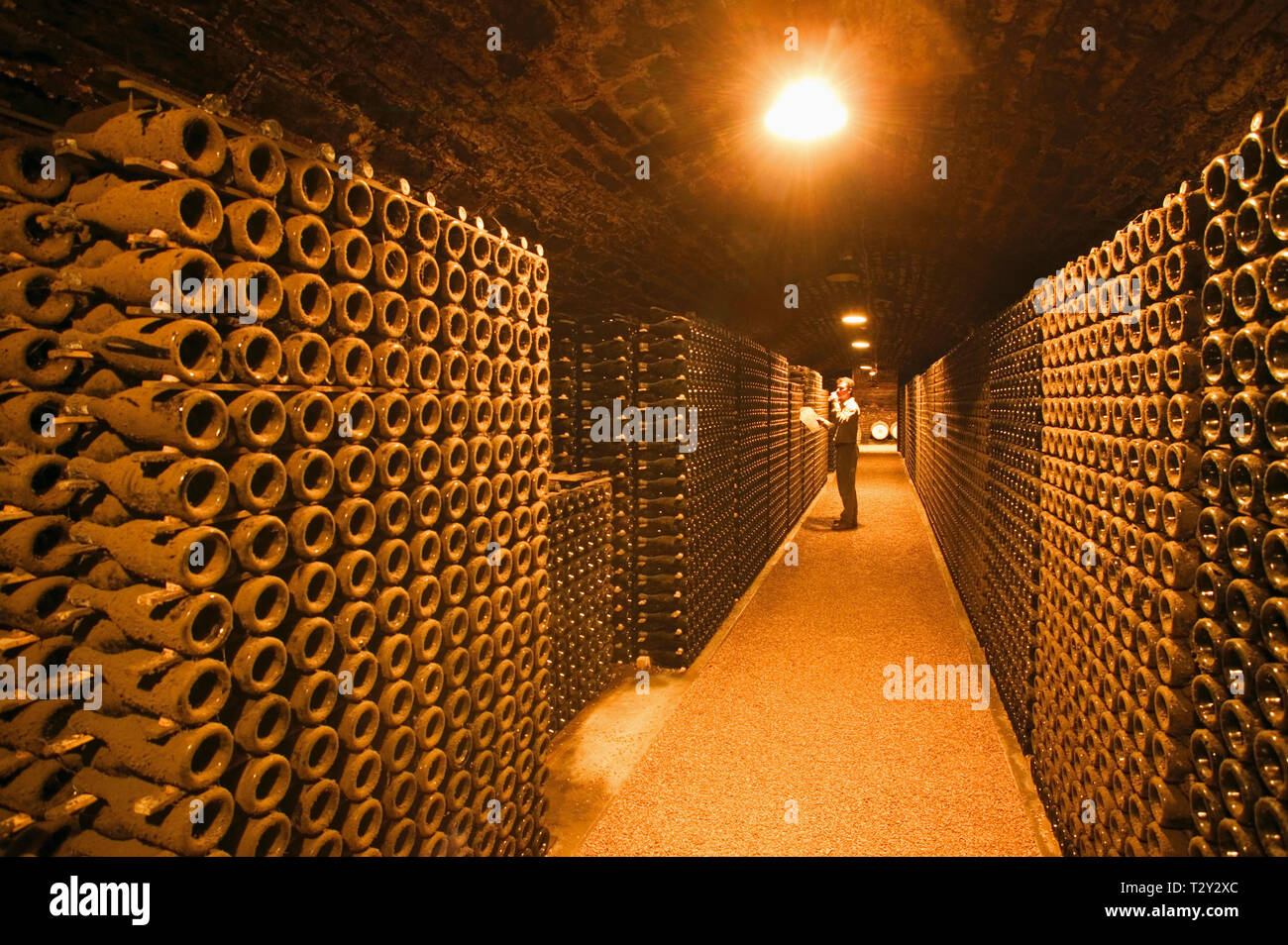 A wine taster in a wine cellar Stock Photo Alamy