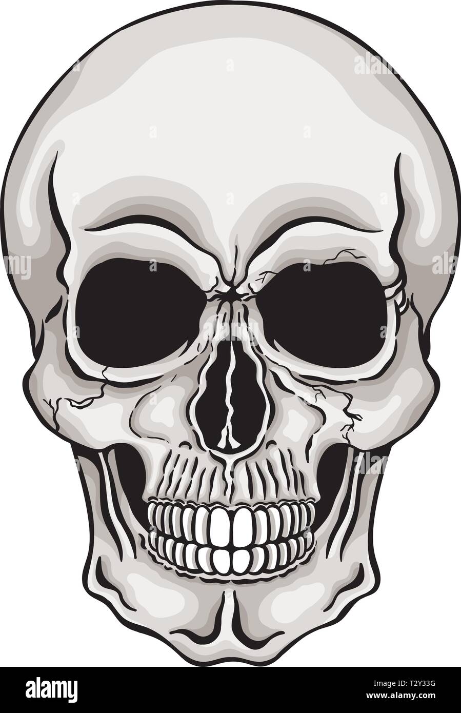 Vector illustration of human skull. Stock Vector