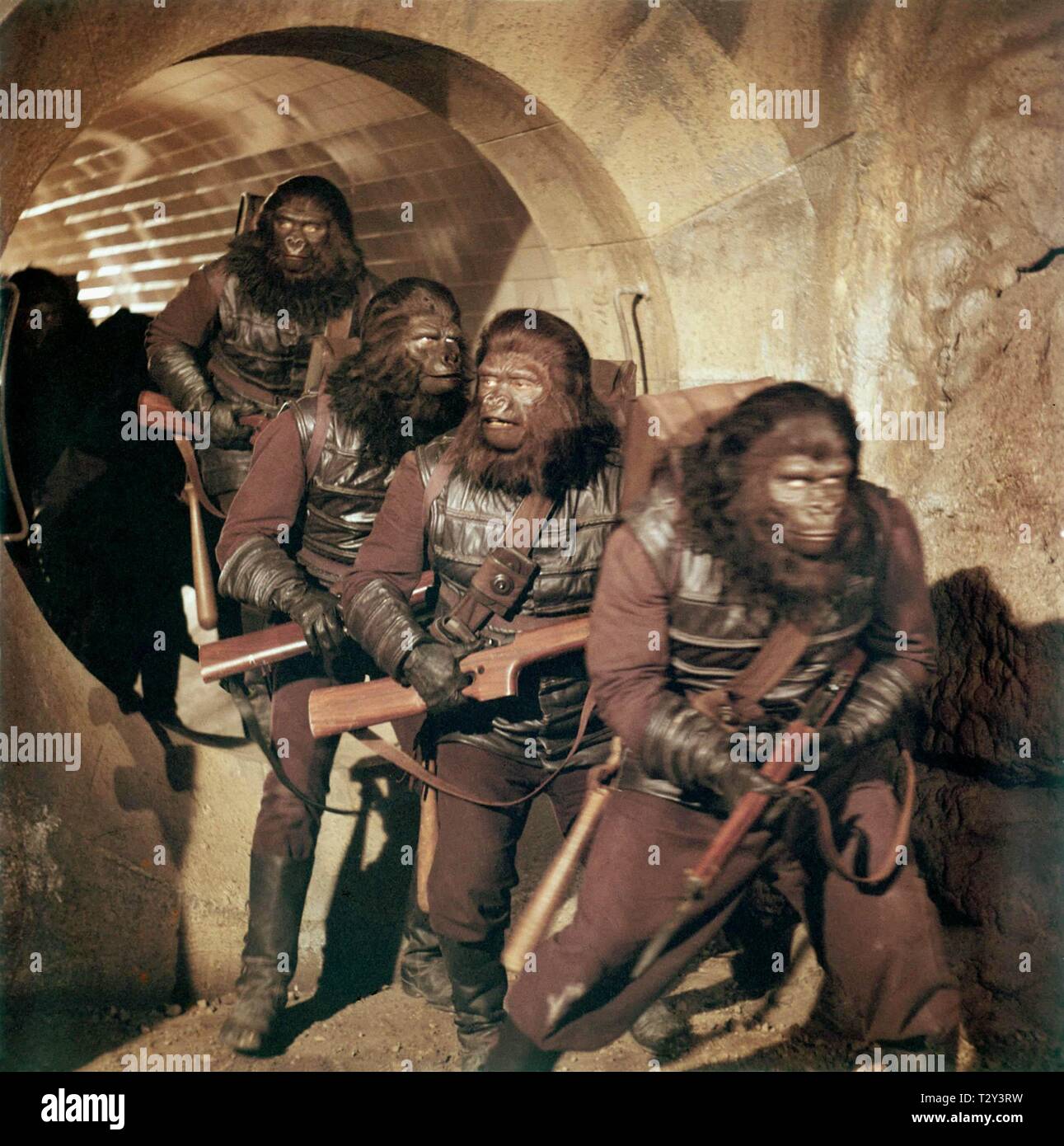 APE WARRIORS, PLANET OF THE APES, 1968 Stock Photo