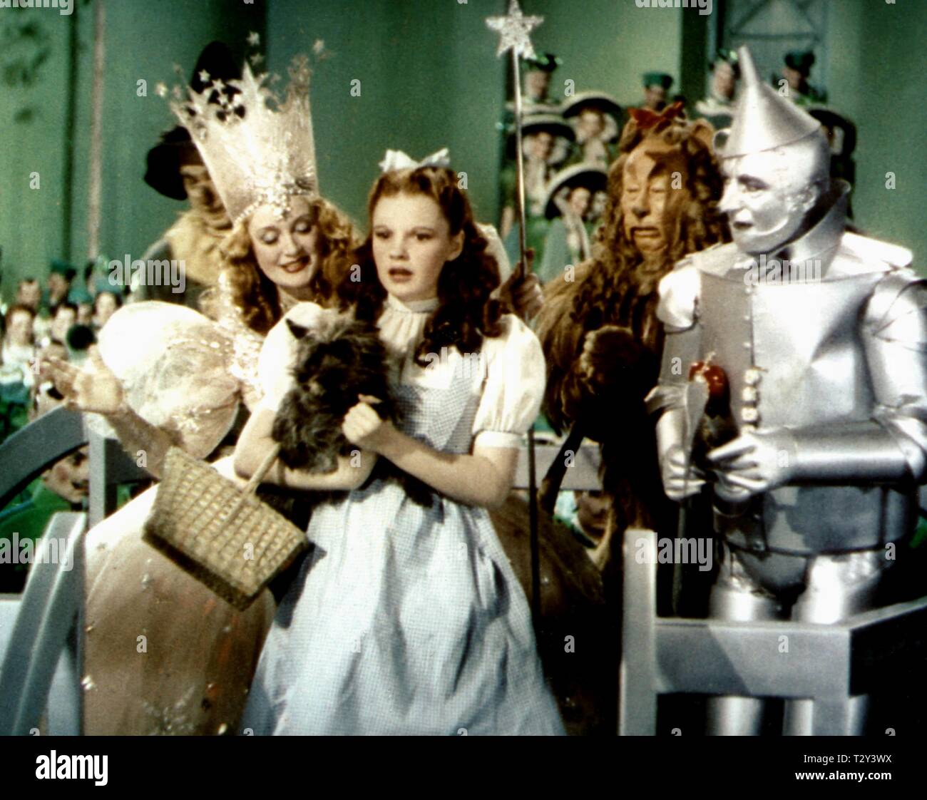 Haley Sorex – Telegraph