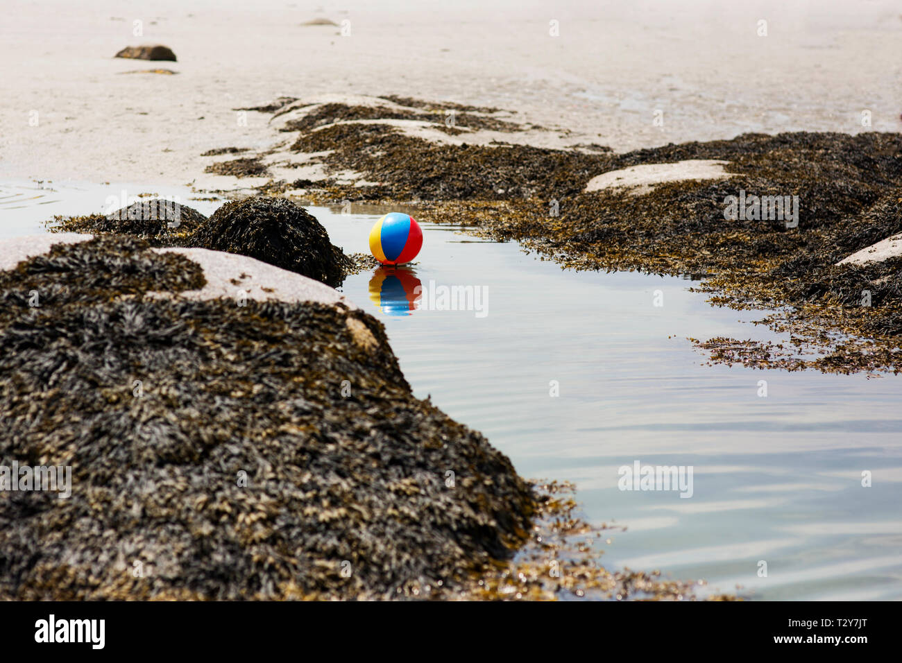 An abandoned beach ball sits in a tide pool at Wingaersheek Beach in