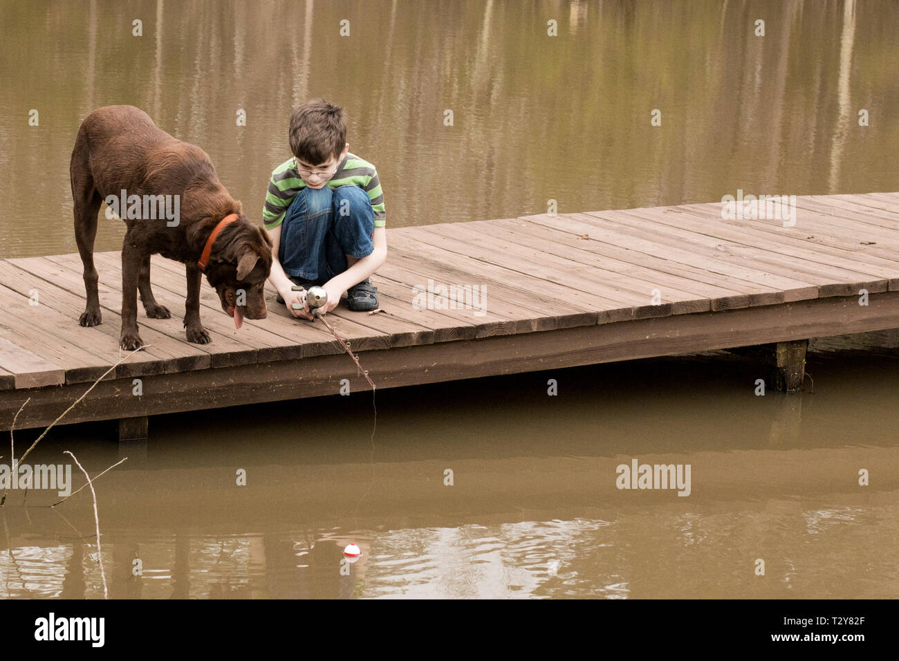 An eleven-year-old boy fishes on a dock in Madison, Mississippi, USA, as his chocolate labrador retriever dog looks on. Stock Photo