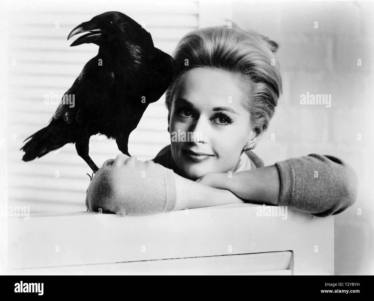 TIPPI HEDREN, THE BIRDS, 1963 Stock Photo