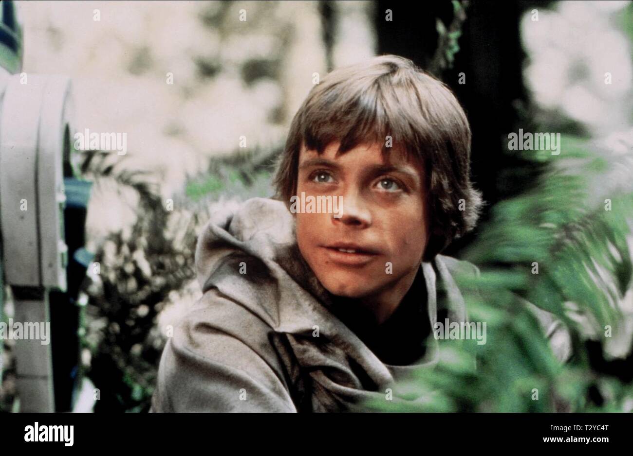 MARK HAMILL, STAR WARS: EPISODE VI - RETURN OF THE JEDI, 1983 Stock Photo