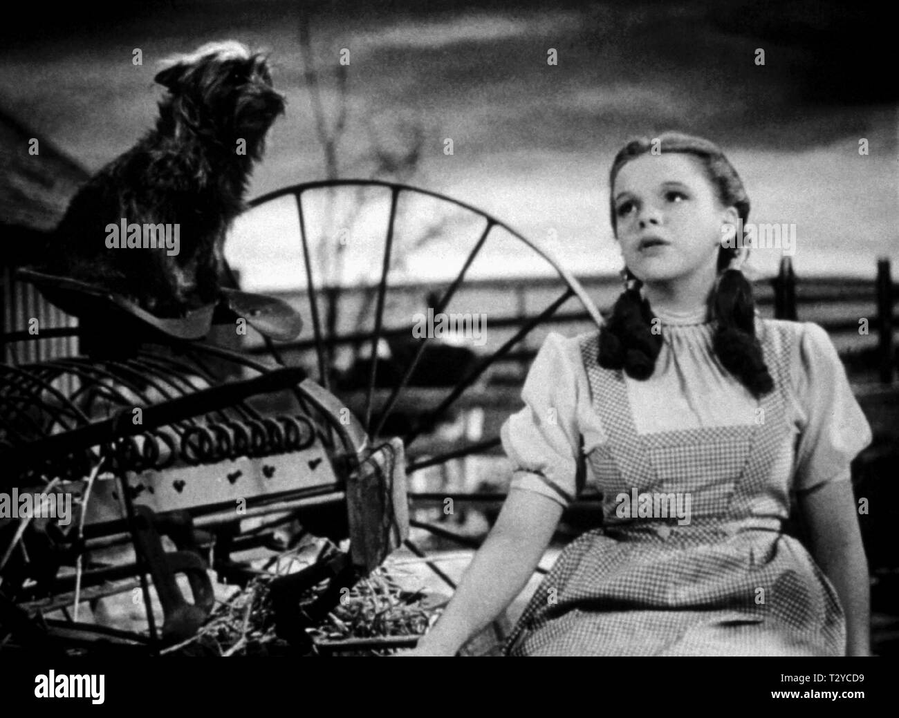 TOTO, JUDY GARLAND, THE WIZARD OF OZ, 1939 Stock Photo