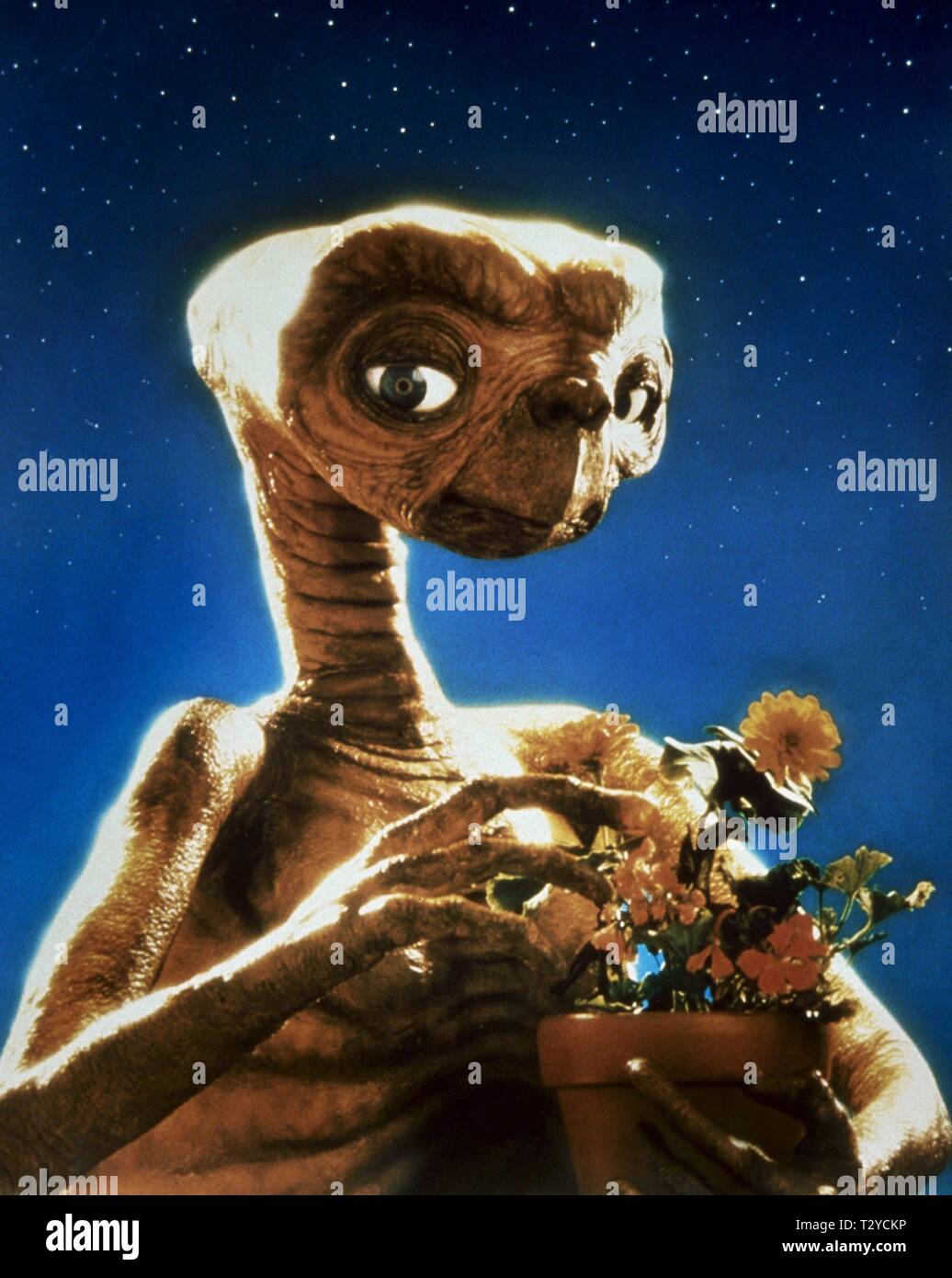 THE ALIEN, E.T. THE EXTRA-TERRESTRIAL, 1982 Stock Photo