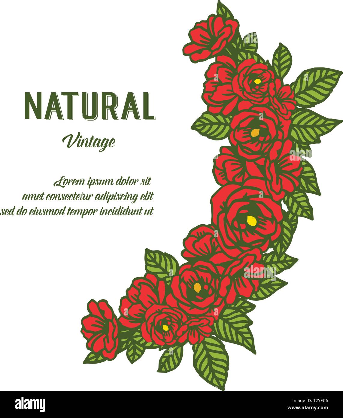 Vector illustration beautiful red rose flower frames blooms for ...