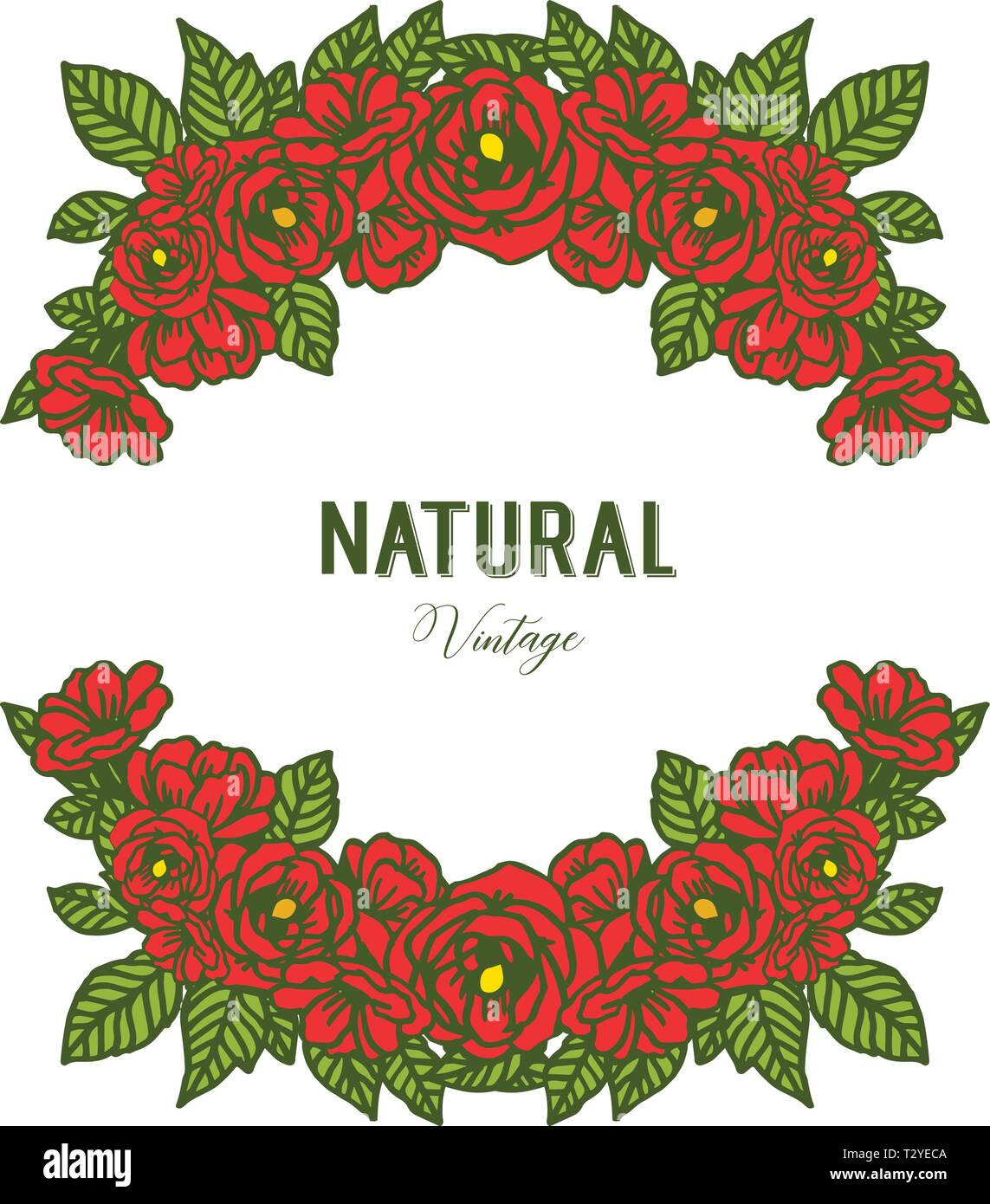 Vector illustration beautiful red rose flower frames blooms for ...
